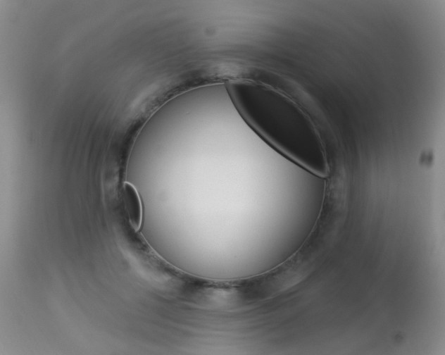 X0000113940552200909250942