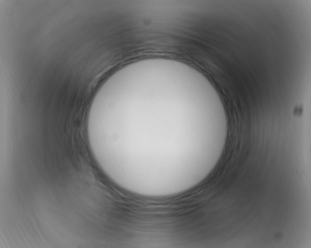 X0000113940556200909250942