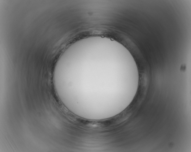 X0000113940557200909250942