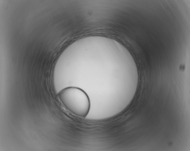 X0000113940558200909250942