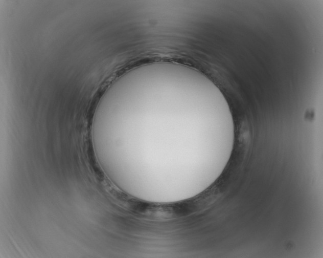 X0000113940559200909250942