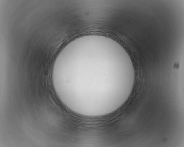 X0000113940560200909250942