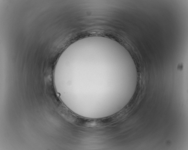 X0000113940561200909250942
