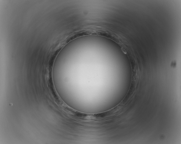 X0000113940562200909250942