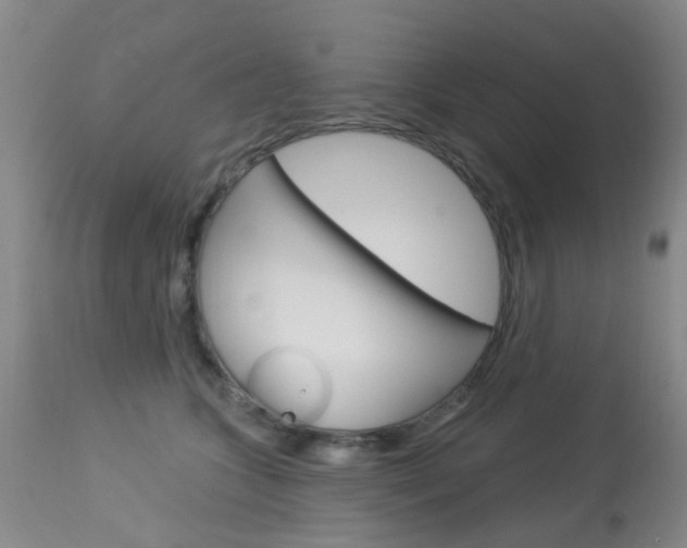 X0000113940563200909250942