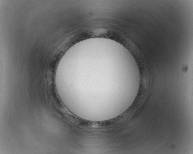 X0000113940565200909250942