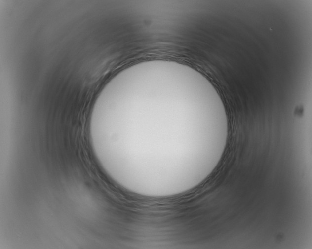 X0000113940568200909250942