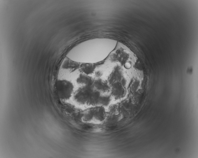 X0000113940569200909250942