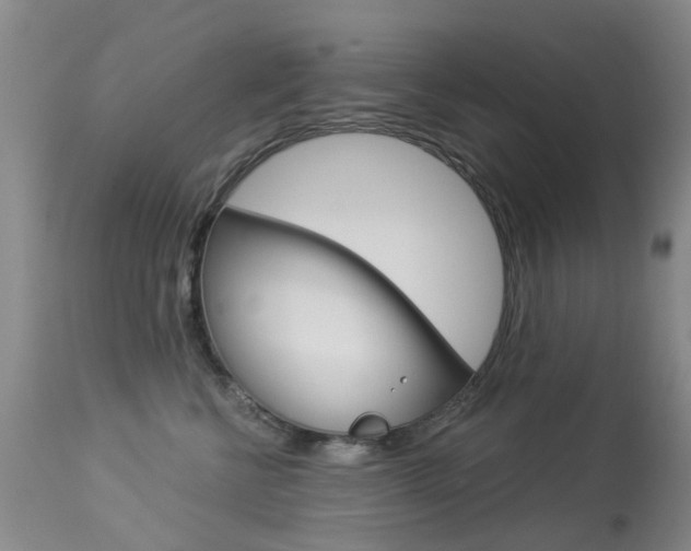 X0000113940570200909250942