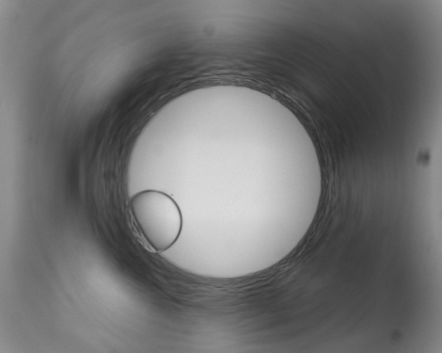 X0000113940572200909250942