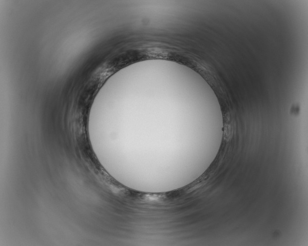 X0000113940573200909250942