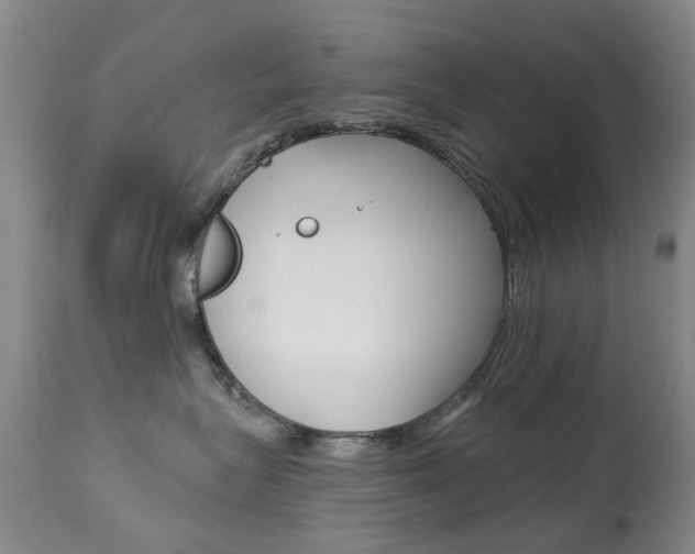 X0000113940575200909250942