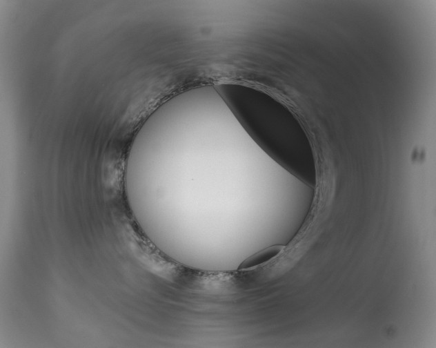X0000113940576200909250942