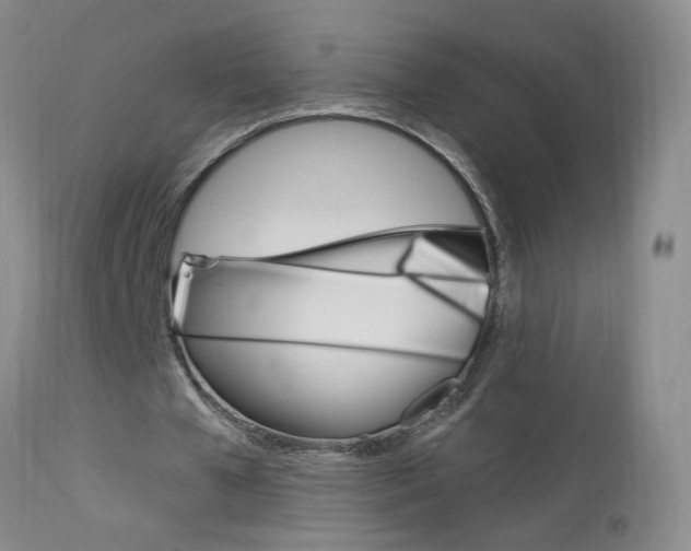 X0000113940577200909250941