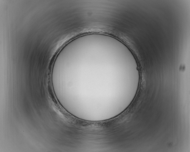X0000113940578200909250941