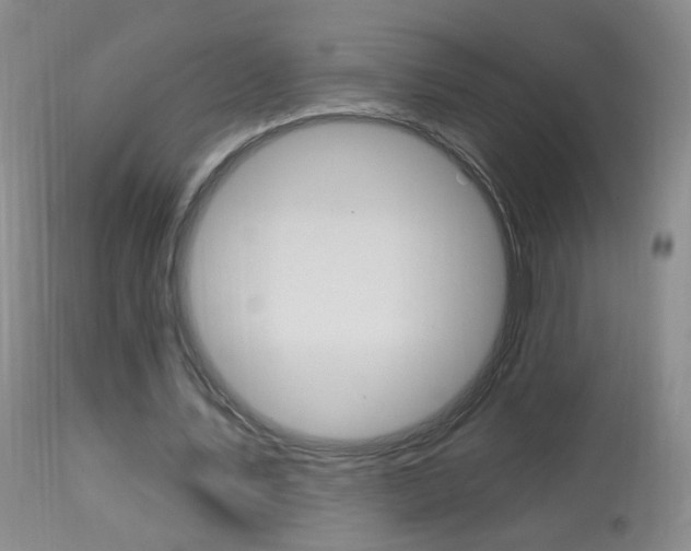X0000113940579200909250941