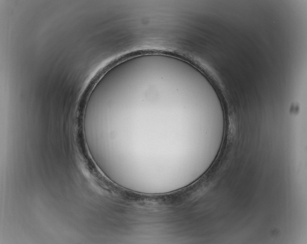 X0000113940580200909250941