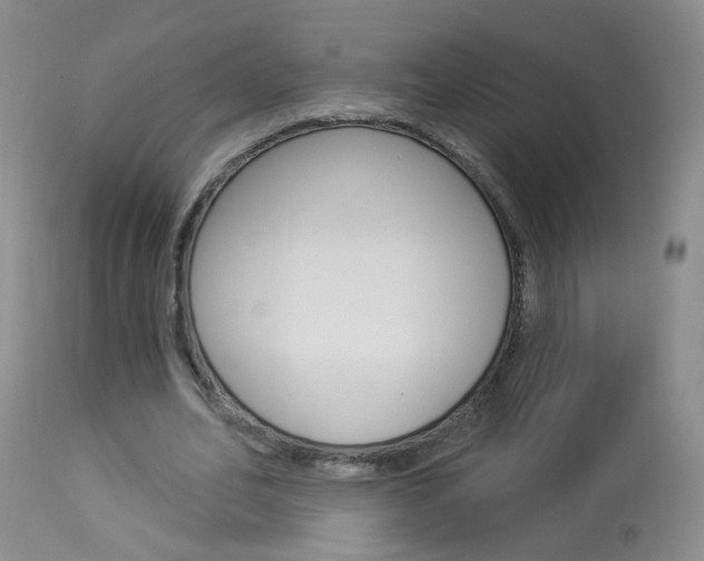 X0000113940582200909250941