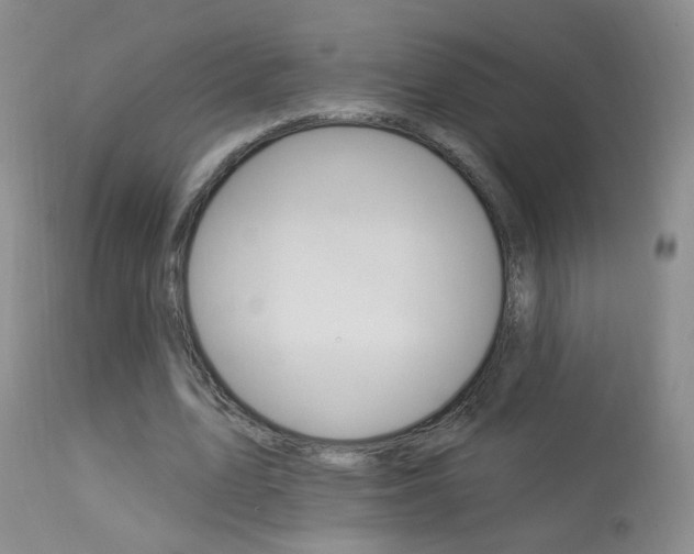X0000113940583200909250941