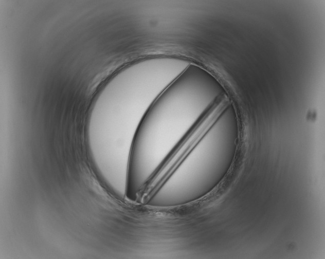 X0000113940585200909250941