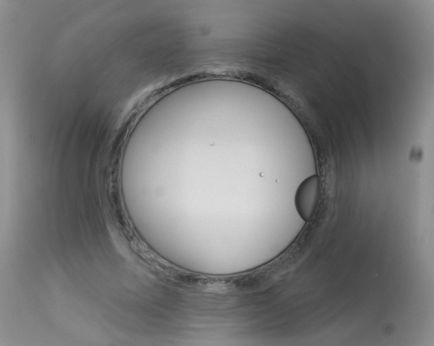 X0000113940587200909250941