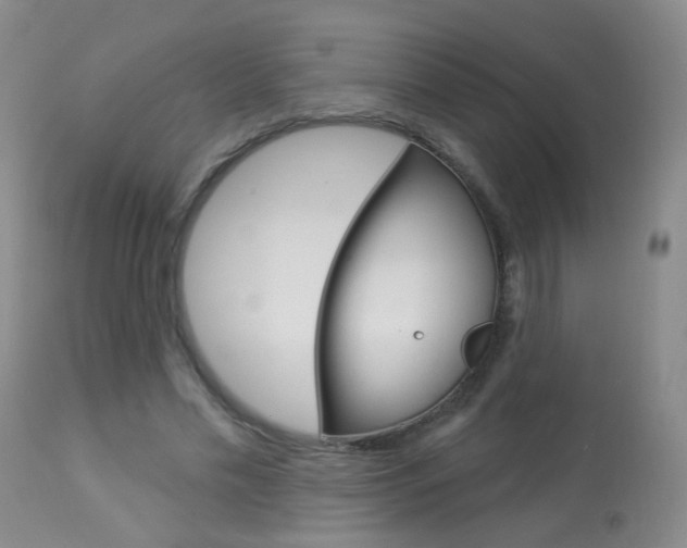 X0000113940589200909250941