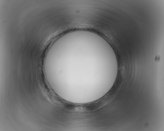 X0000113940591200909250941