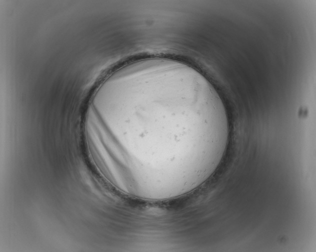 X0000113940592200909250941