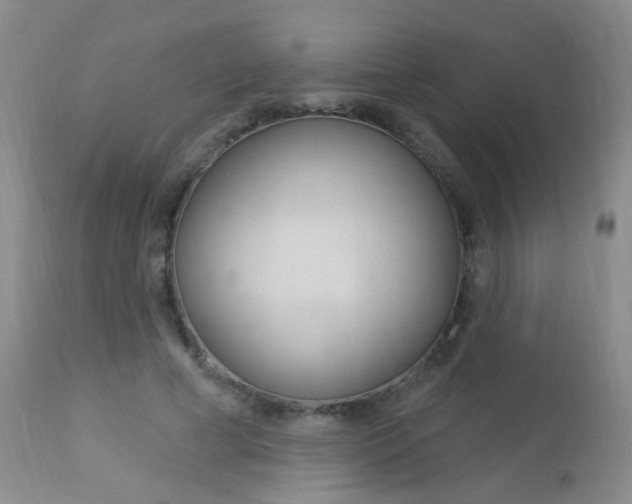 X0000113940593200909250941