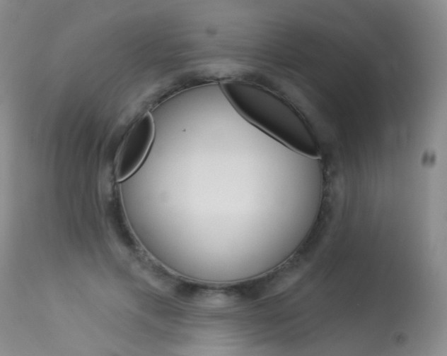 X0000113940597200909250941