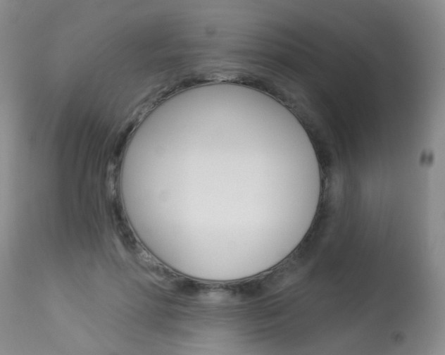 X0000113940598200909250941