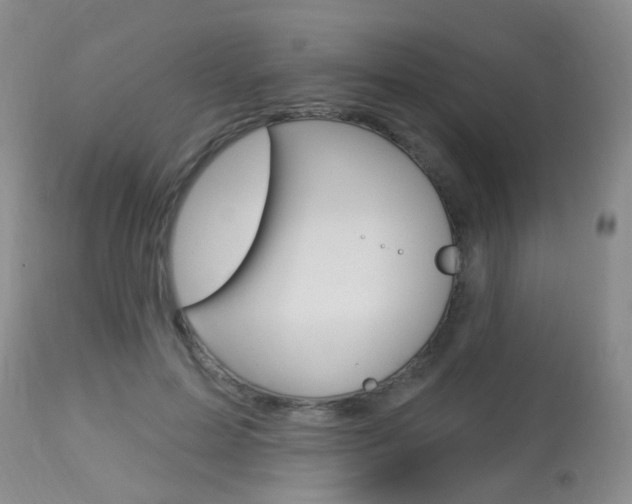 X0000113940599200909250941