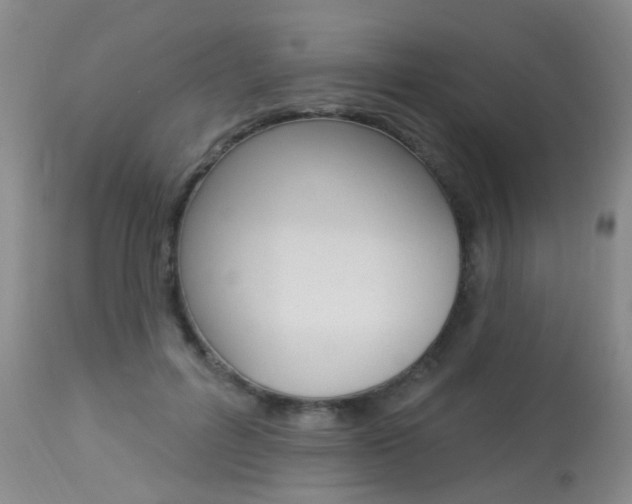 X0000113940600200909250941