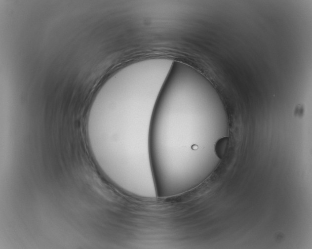 X0000113940601200909250941