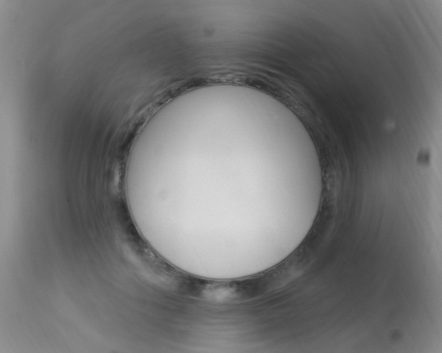 X0000113940602200909250941