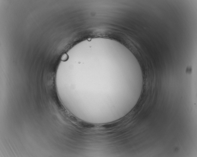 X0000113940603200909250941