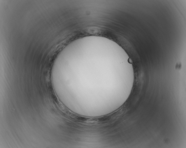 X0000113940606200909250941