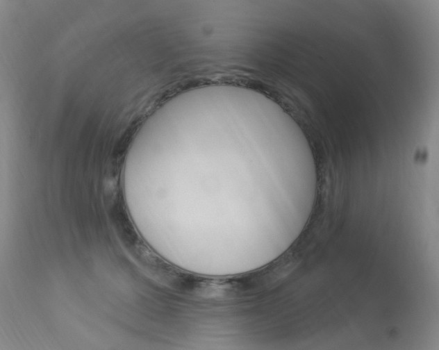 X0000113940607200909250941