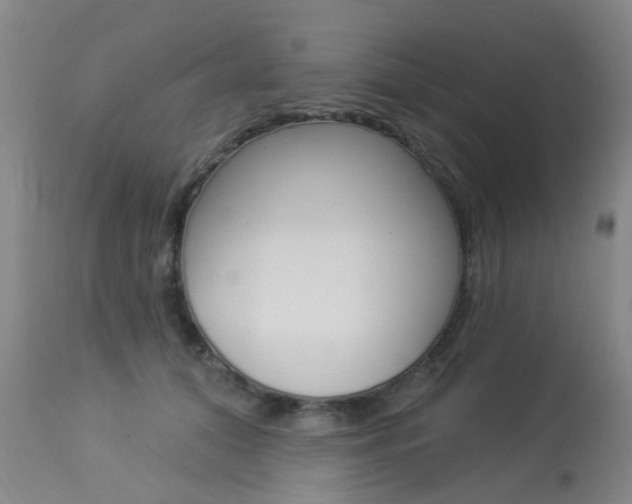 X0000113940608200909250941