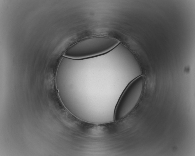 X0000113940609200909250941