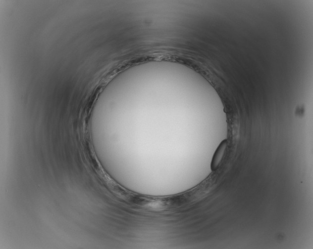 X0000113940611200909250941