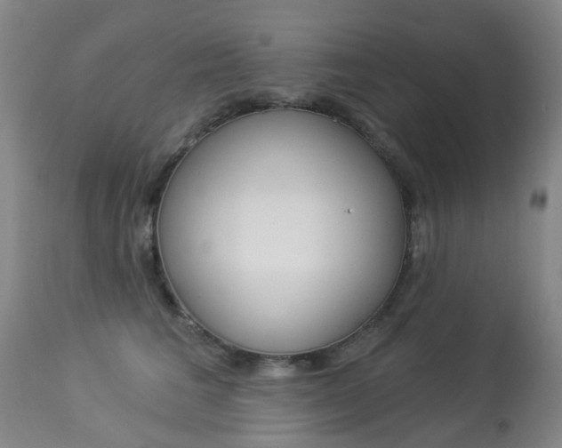 X0000113940613200909250941