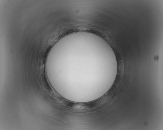 X0000113940614200909250941