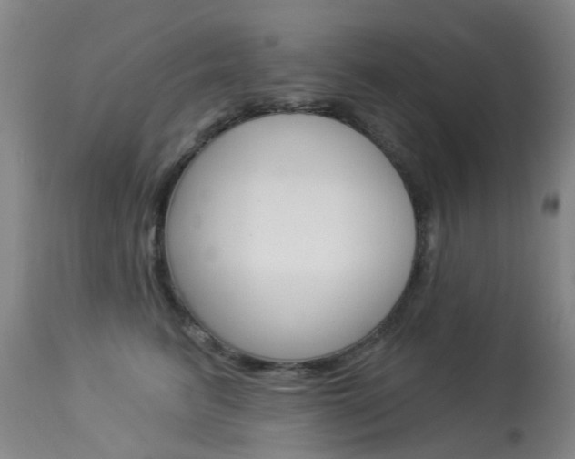 X0000113940615200909250941