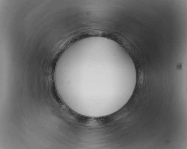 X0000113940616200909250941