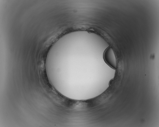 X0000113940617200909250941