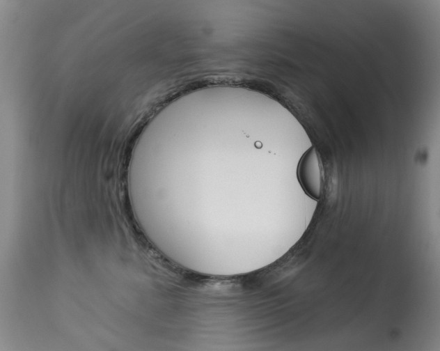 X0000113940619200909250941