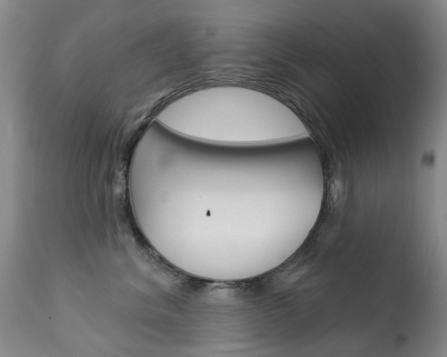 X0000113940620200909250941
