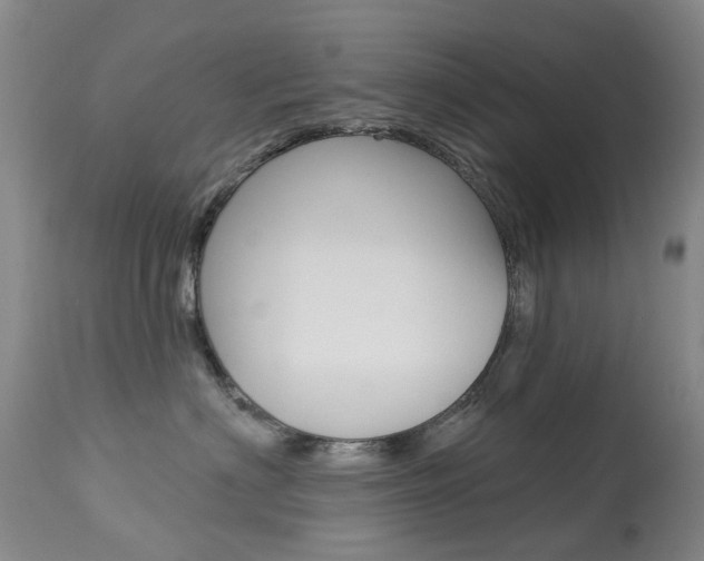 X0000113940622200909250941