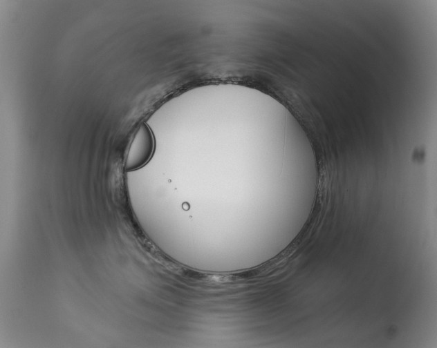 X0000113940623200909250941
